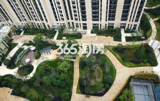 中大普升园区景观实景图 2016年3月摄