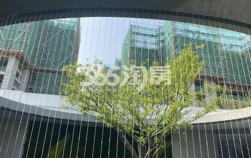 旭辉都会上品示范区实景（5.20）