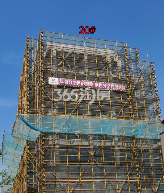 保利澄品低密度多层20#实景图（2019年6月）
