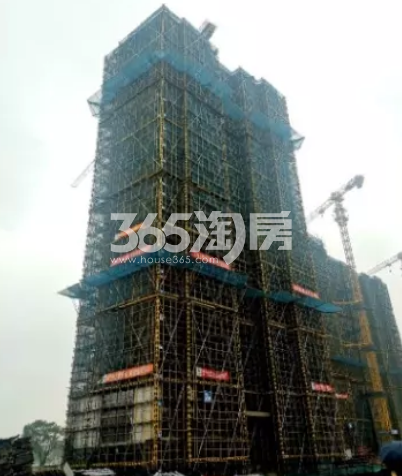 2020年1月臻珹幸福里2号楼实景