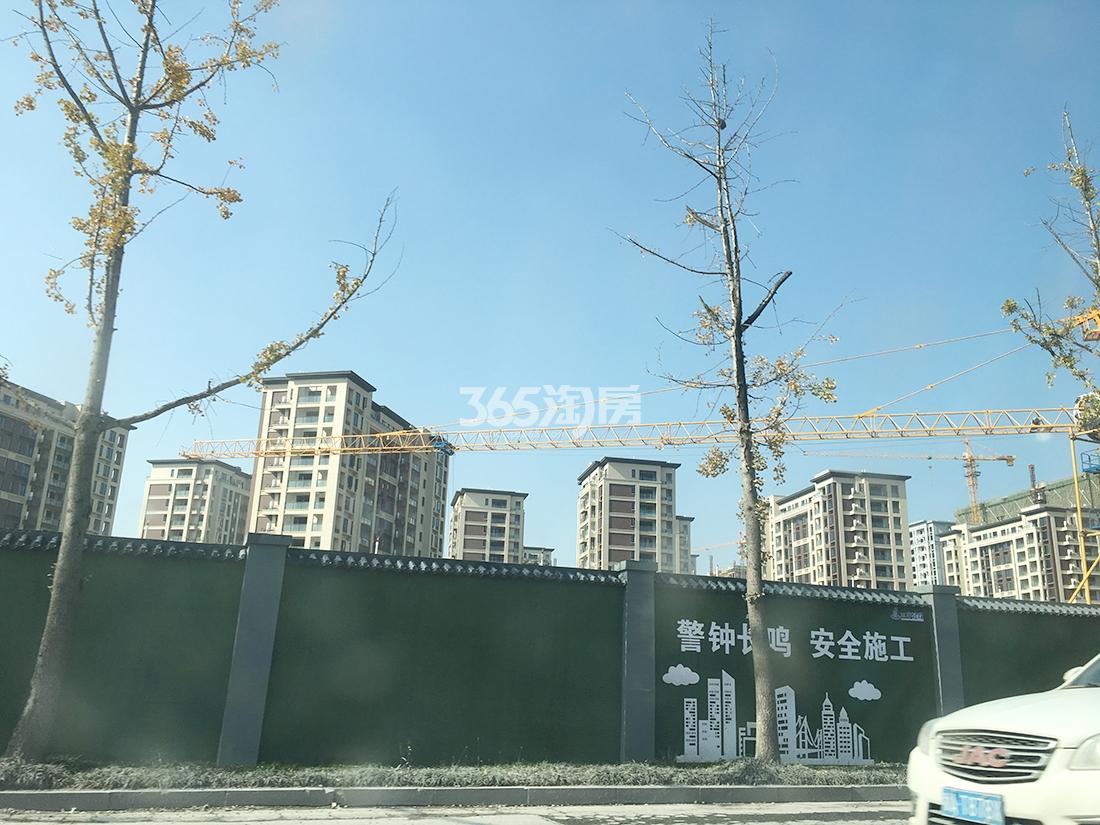 中天珺府实景（2019.11）