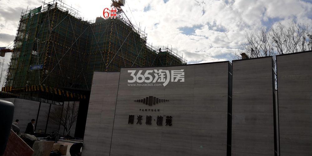 阳光城·檀苑项目售楼处及示范区实景（11.21）