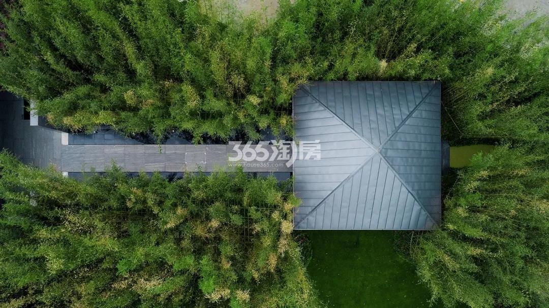 万科西望园区实景图