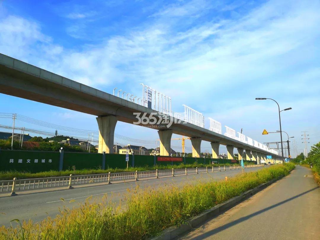 杭临轻轨实景（2019.7）