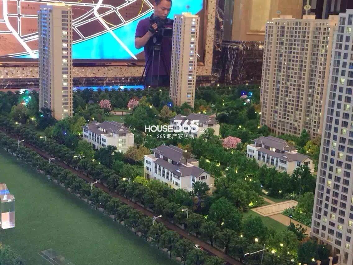 滨江华家池沙盘实景图 2015.4.7摄