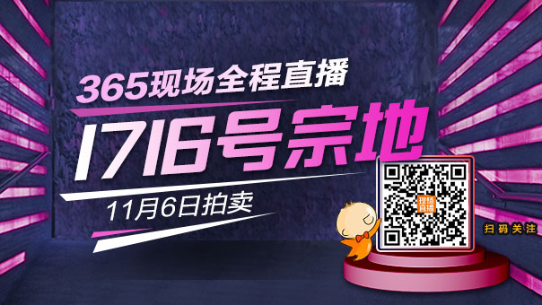 收入证明_代建资产收入(2)