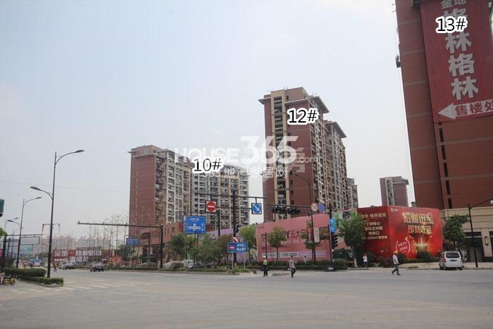 金地格林格林10、12、13号楼施工实景图 2015年9月摄 