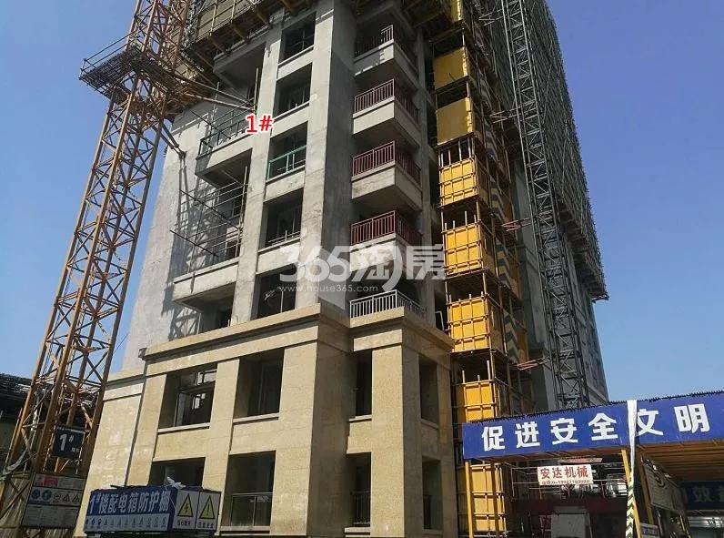 禹洲滨之江北区1号楼实景图（2018.6）