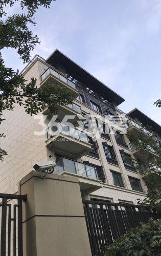 荷岸晓风（花园）小区楼层外观实景图