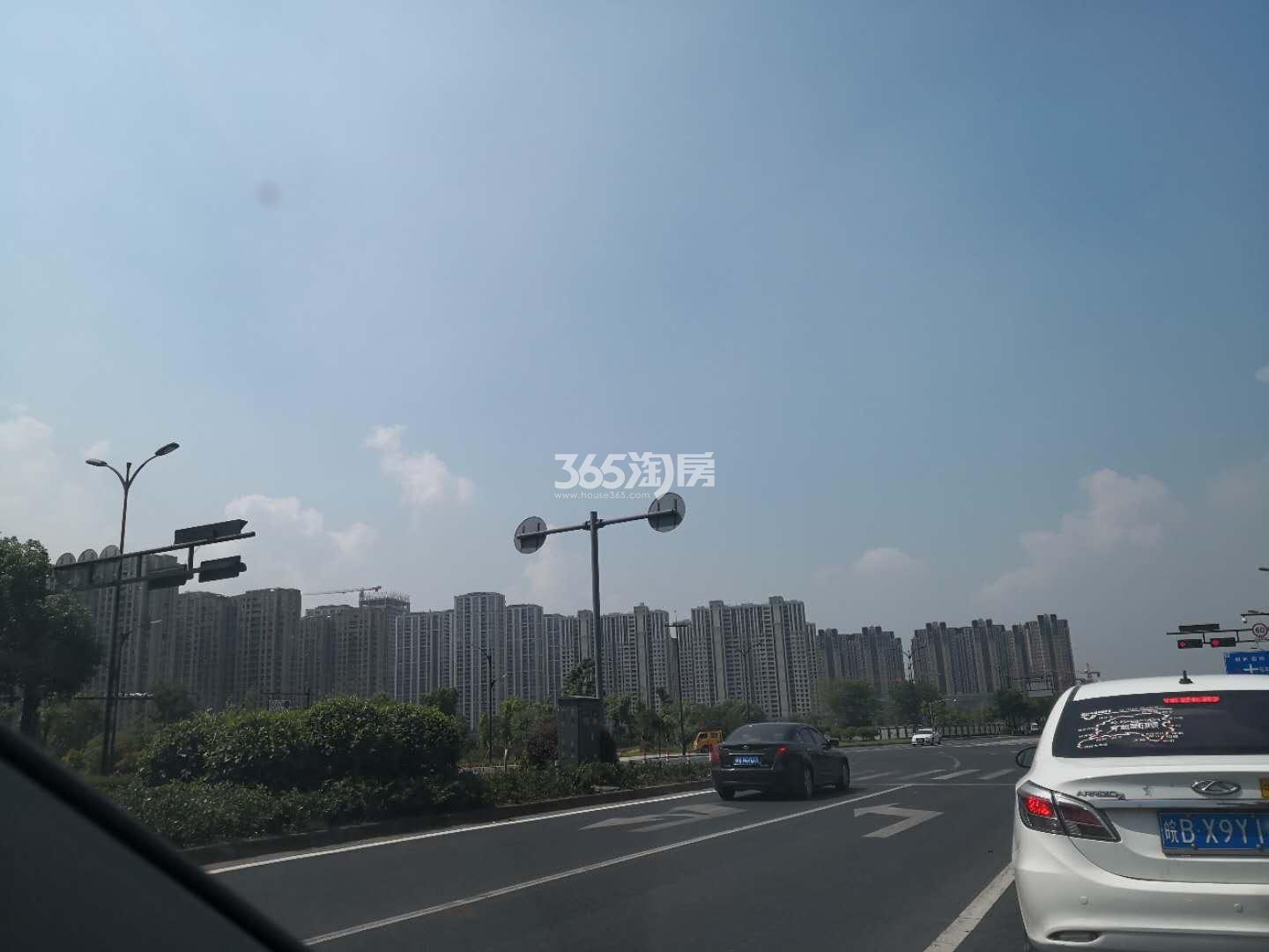 逸品春江实景图
