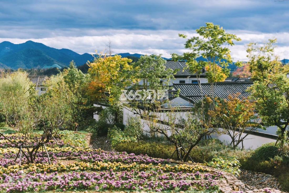 青云山居青云山居桃李春风中式小院实景（2018.11）