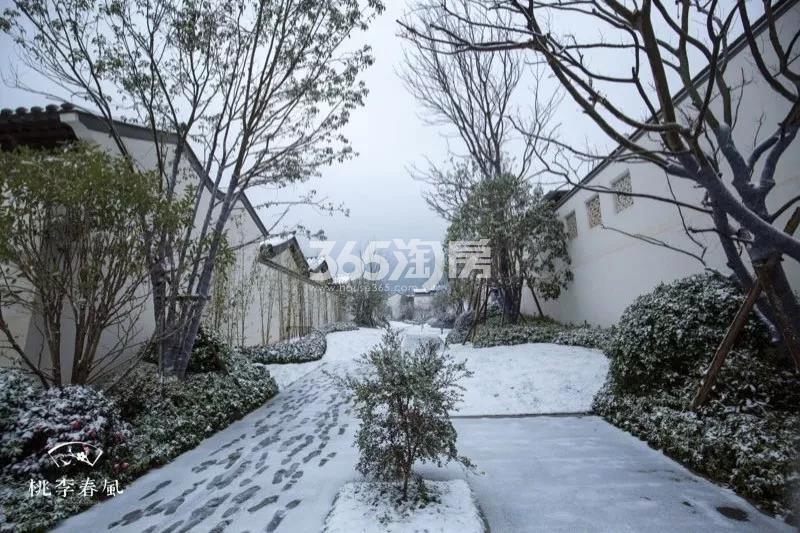 青云山居青云山居桃李春风园区实景图 2018年1月摄