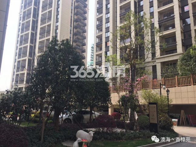 澳海香樟苑一期交付实景图 2018年3月摄