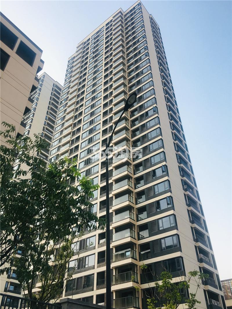都会钱塘东区项目实景（2019.08）