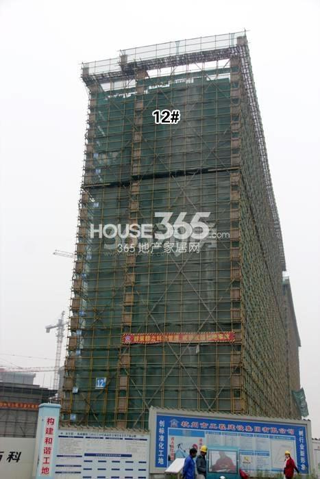 万科西庐二期12号楼施工进程图（2015.11）