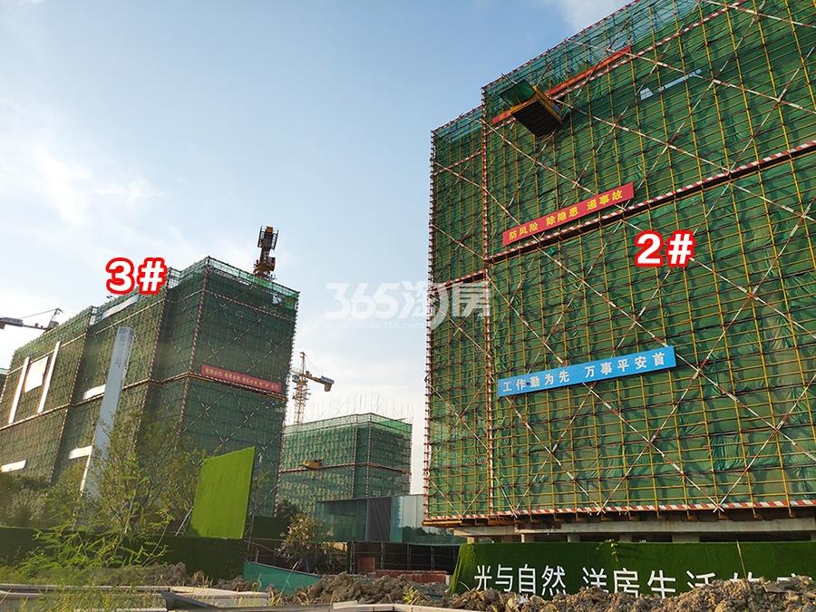 2019年9月和光尘樾轩2、3号楼实景