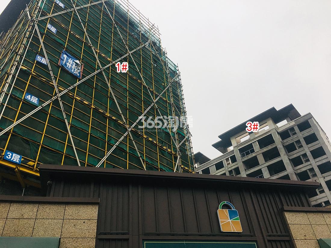 龙沁城工程进展（2019.02）