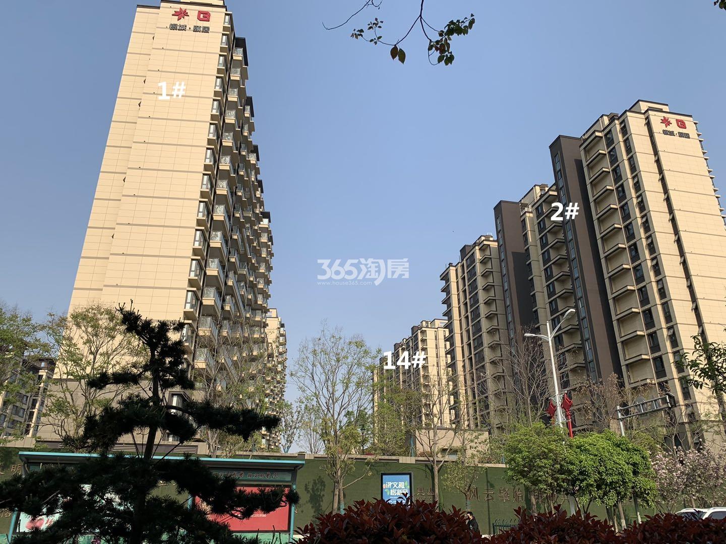 银城颐居悦见山1、2、9号楼实景图（6.29）_南京银城颐居悦见山_南京新房网_365淘房