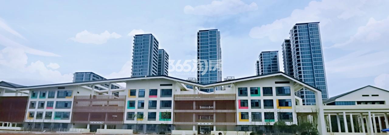 青山湖科技城第二小学实景