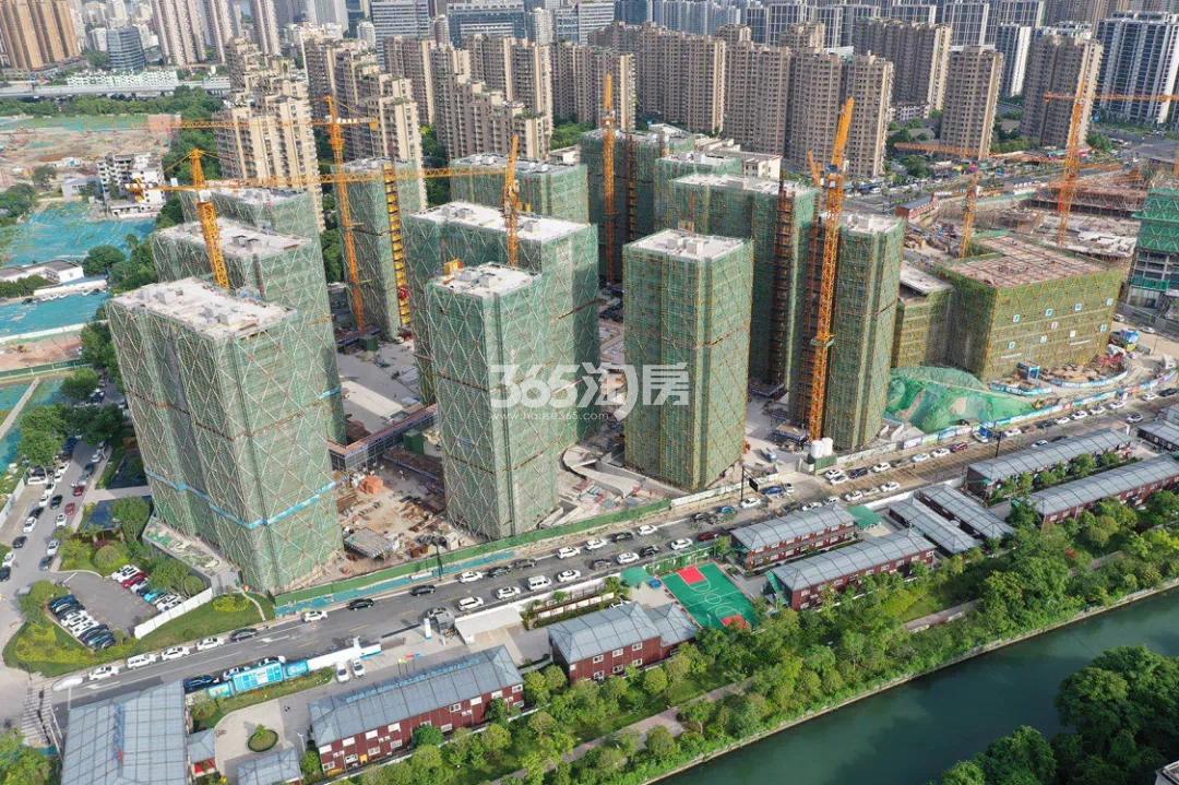 6月滨江金地御品建设进度实景
