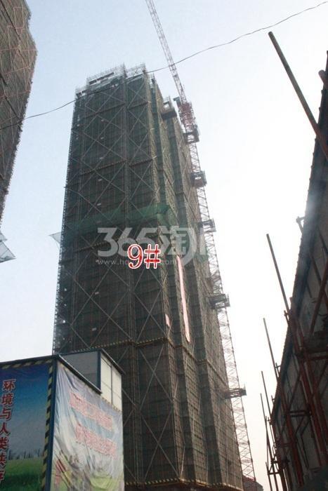 金都夏宫项目9号楼施工进程图（2015.12）