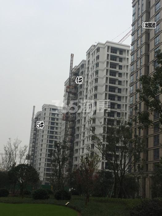 西溪海项目4、5号楼施工进程图（2015.12）