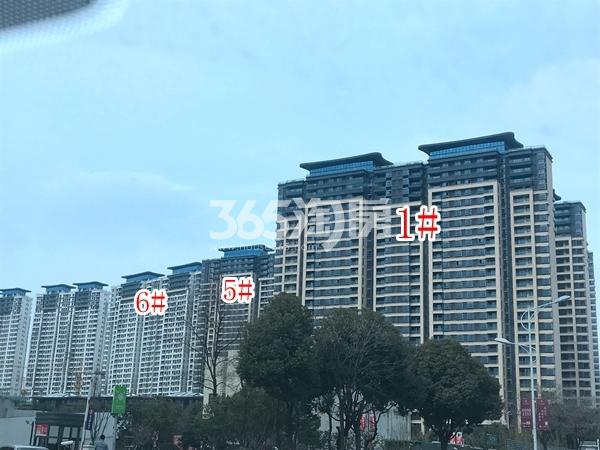 蓝光雍锦园1#、2#楼实景图(2019.2.26 摄)_无锡蓝光雍锦园_无锡新房网_365淘房