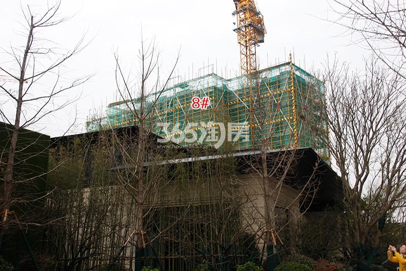 金辉贤林信步项目8号楼实景图（2017.12）