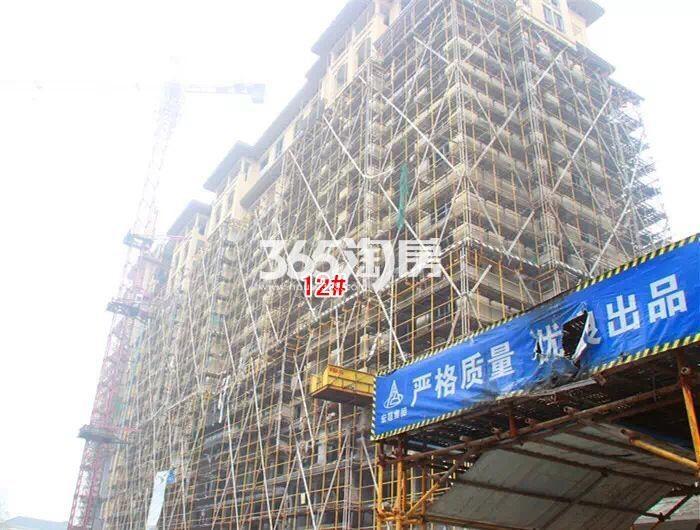 绿城蓝庭项目12号楼施工进程图（2015.12）
