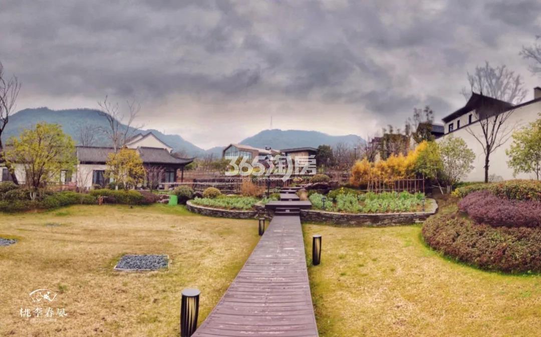 青云山居青云山居桃李春风实景（2020.03）