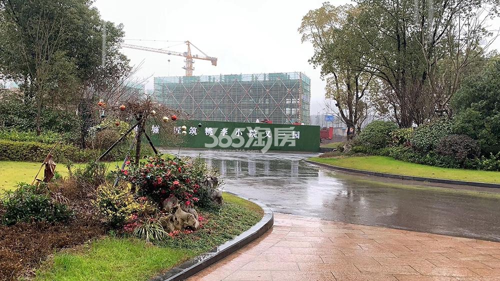 蓝城春风燕语实景图（2019.02）
