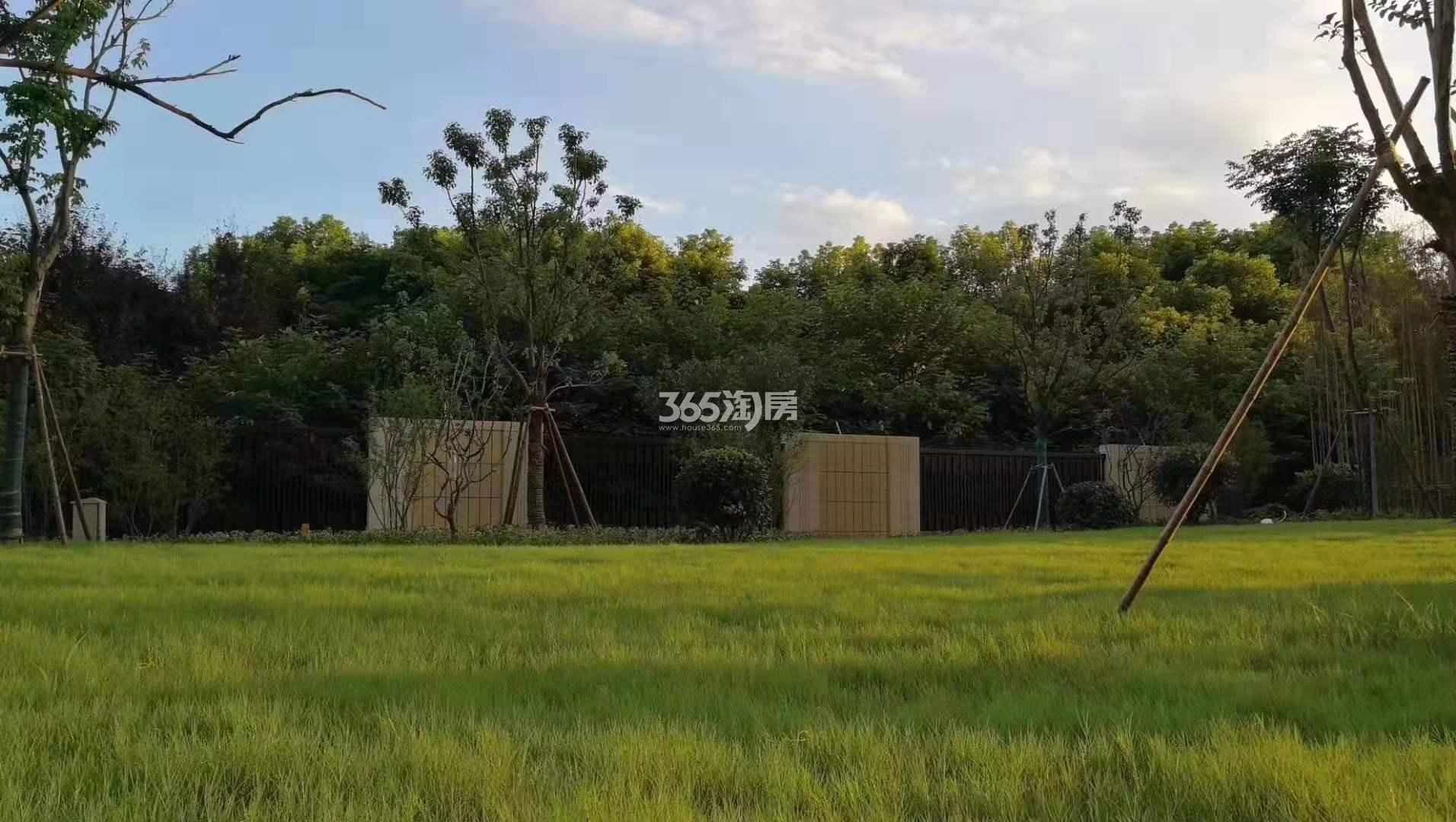 和雅轩一期汇雅轩南侧绿化带