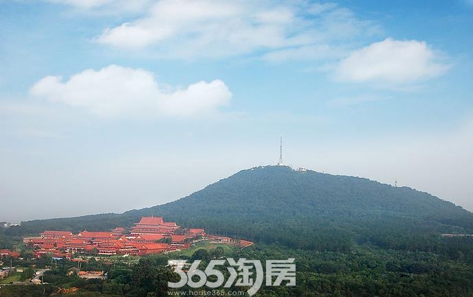 中翰名庭周边配套图