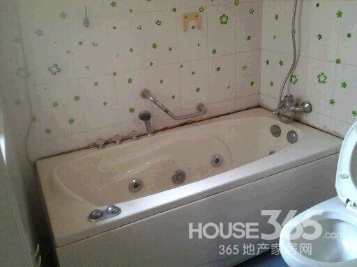 【黄金楼层 前面有棵树 夏天遮阳 冬天吸光 超好