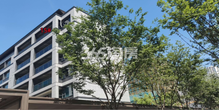 保利澄品低密度多层15#实景图（2019年6月）