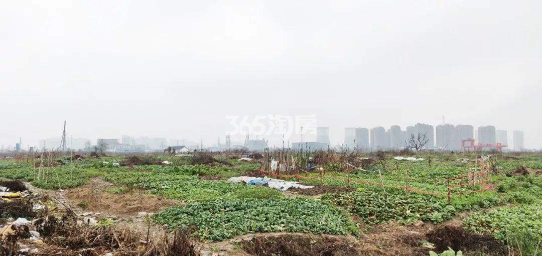 2019年2月德信良渚宅地实景图