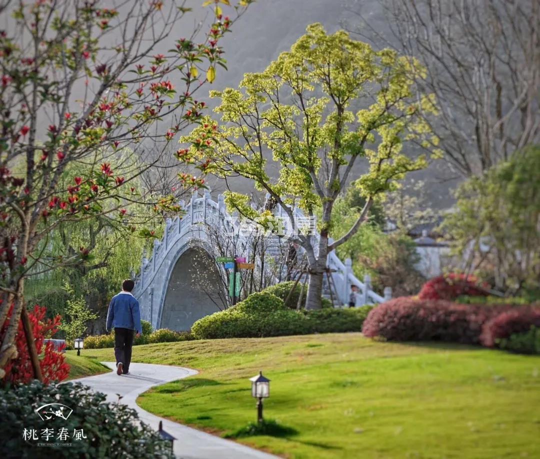 青云山居青云山居桃李春风实景（2020.03）