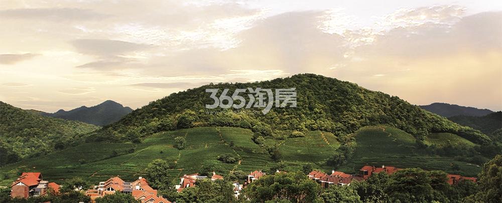 和家园雍园大盘实景图