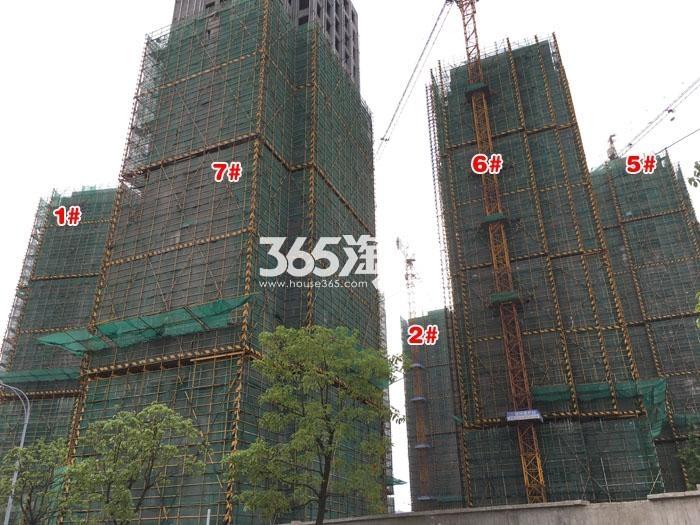 2016年5月金隅学府实景---1、2、5、6、7号楼