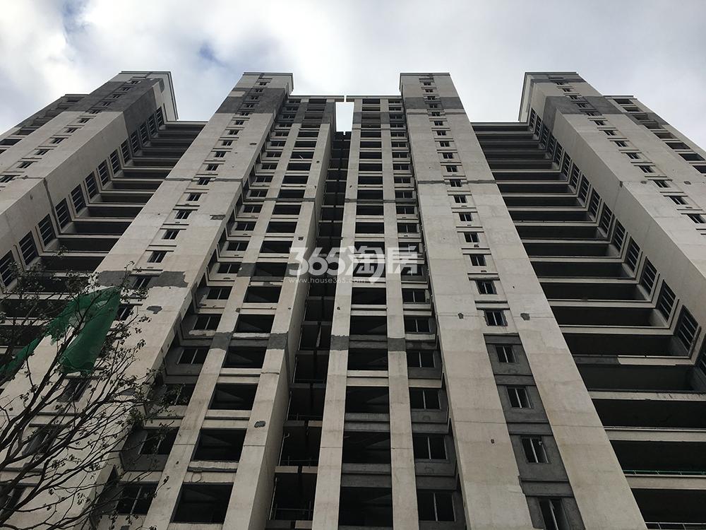 龙沁城实景图（2019.11）