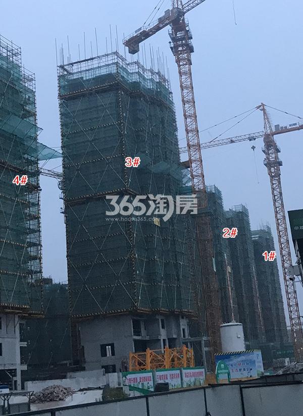 金辉贤林信步项目1-4号楼实景图（2018.5）
