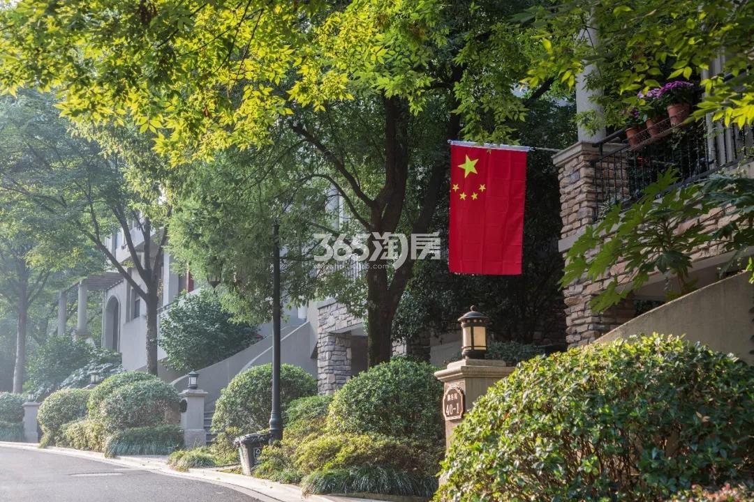 新湖果岭实景图（2019.9）