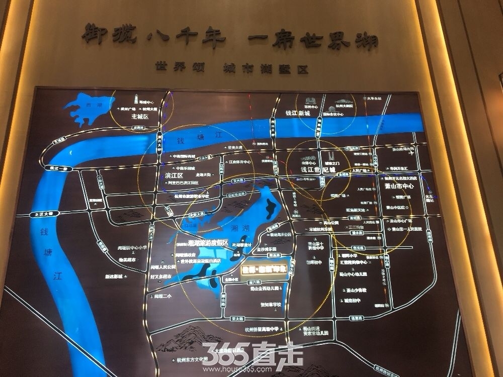 佳源湘湖印象沙盘区域实景图  2017.6.16