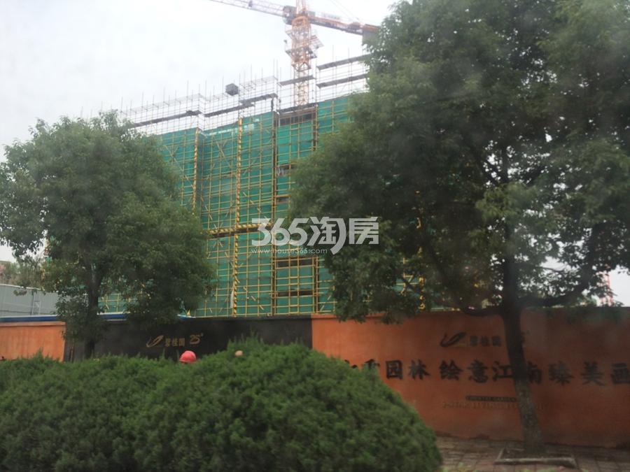 碧桂园越溪府2号楼施工实景图 2017年11月摄