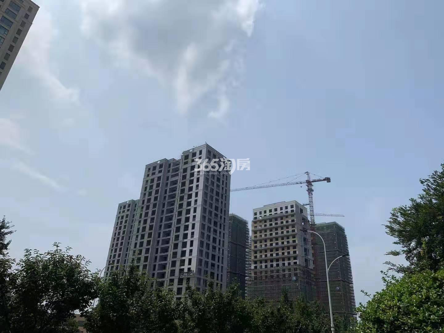 金色和庄实景图（2019年7月）