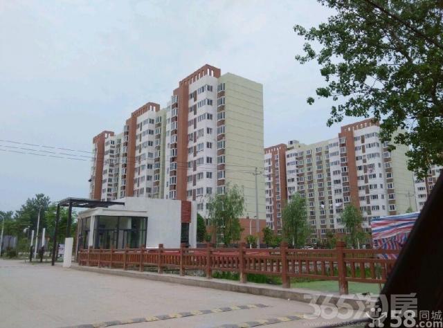 【桥林镇 林山雅苑 s3号线地铁口200米 总价低