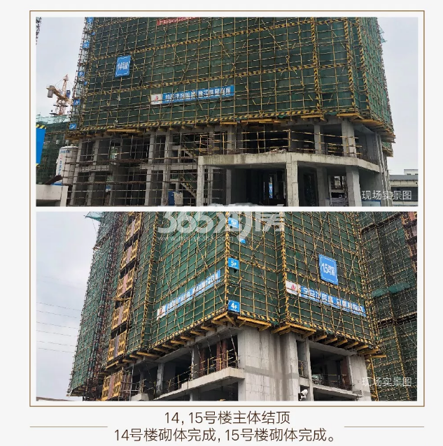 中天卓越风荷锦庭14、15#施工实景图（2019.7摄）
