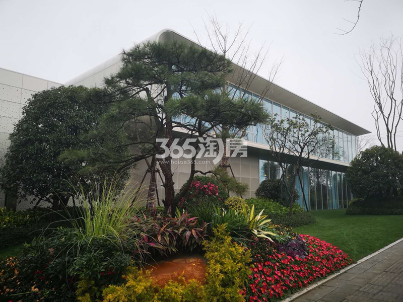 悦东方臻园售楼处实景图 2019年3月摄