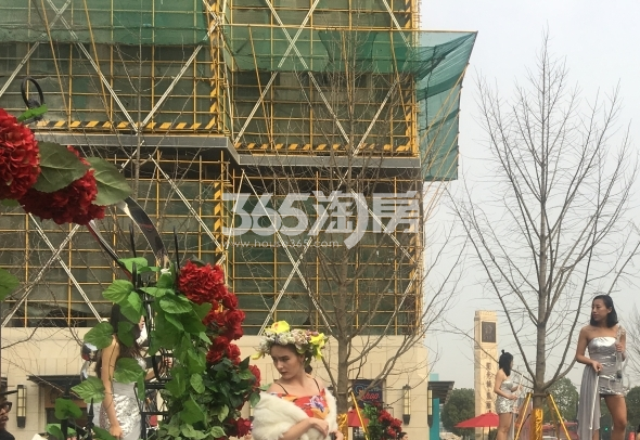 阳光城翡丽公园示范区开放活动图 2017.12.3摄