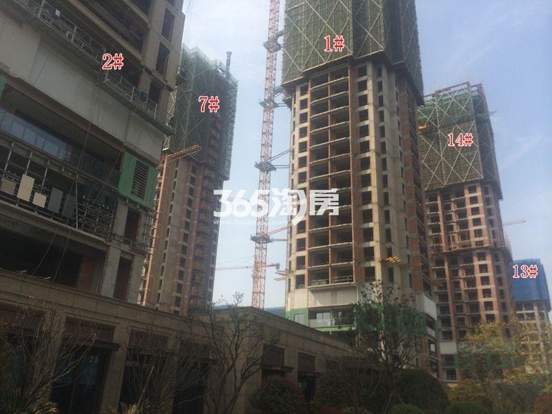 滨江华家池凯1、2、7、13、14号楼施工实景图 2016年3月摄